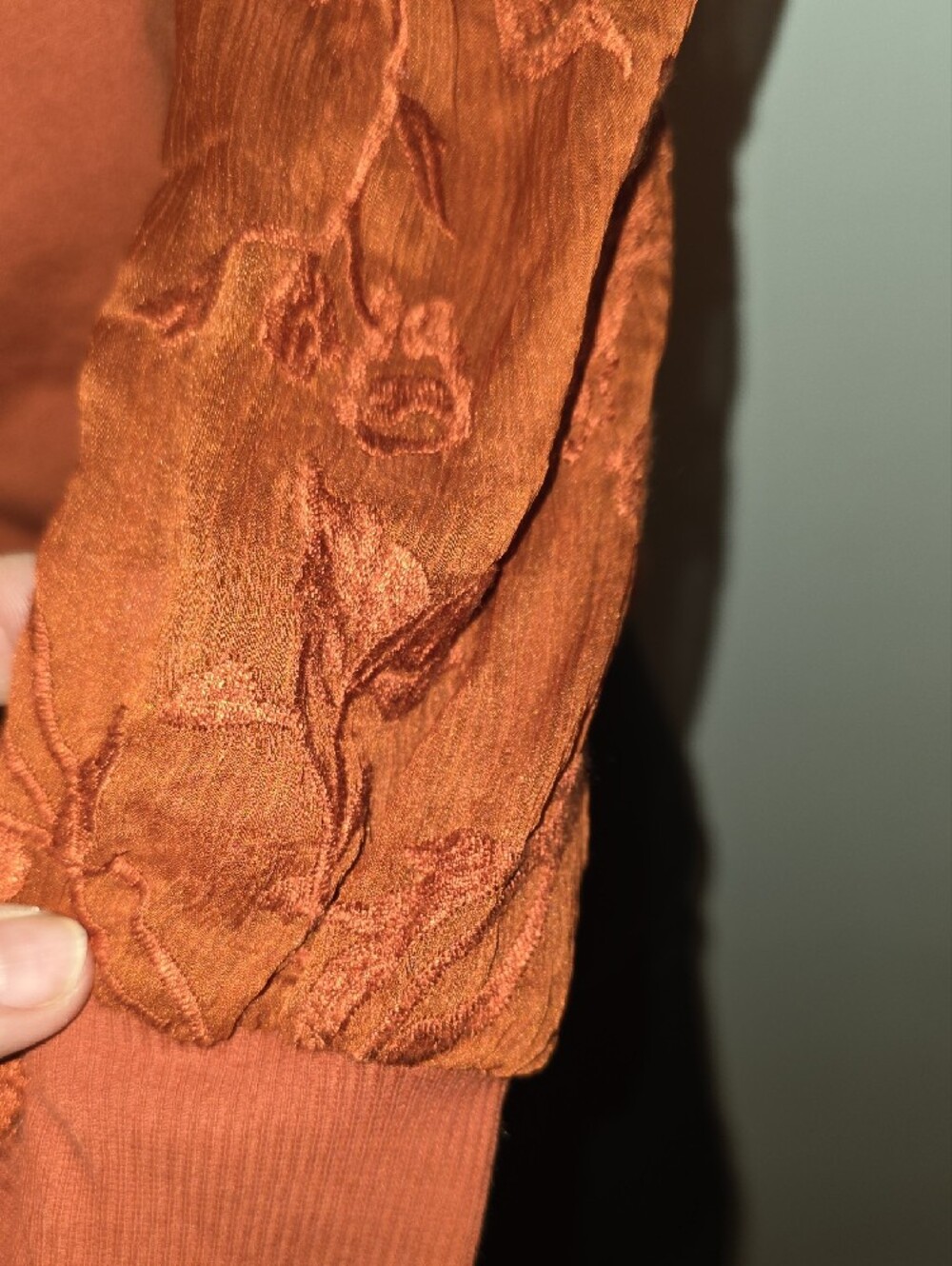 Anthropologie Embroidered Lace Yoke Blouse in Rust - Picture 6 of 9